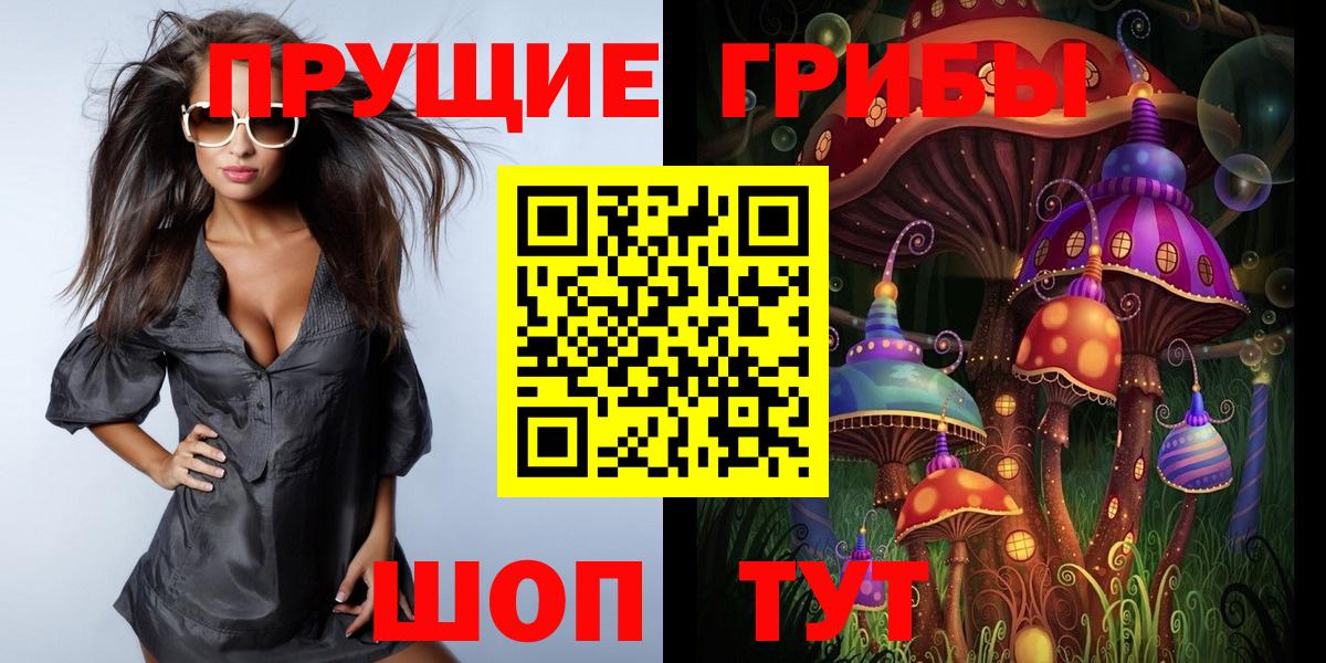 Псилоцибиновые грибы GOLDEN TEACHER  Псилоцибиновые грибы мицелий  Вход с VPN  Великий Новгород 