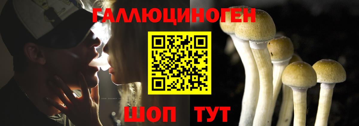 Галлюциногенные грибы MAGIC MUSHROOMS Великий Новгород